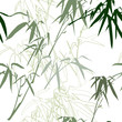 Bamboo. Floral seamless pattern background, vector illustration