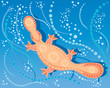 platypus design
