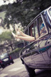 Just Married - Limousine