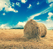 Straw bales on farmland with blue cloudy sky