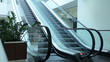 Escalators Moving In Different...