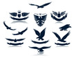 Eagle Silhouettes Set 3