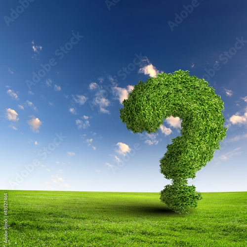 Illustration: Green grass question mark Green grass question mark