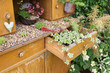 Alter Schrank im Garten