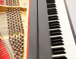 Photo: Interior of grand piano with keys Interior of grand piano with keys