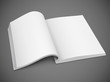 open spread of book with blank white pages vector illustration