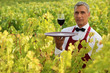 Waiter in field with glass of wine
