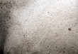 Photo: Horse fur close up Horse fur close up