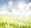 Photo: Grass and sky Grass and sky