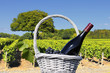 Photo: Vineyard in Beaujolais Vineyard in Beaujolais