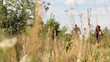 Video: Healthy life: sporty couple riding bicycles in the forest Healthy life: sporty couple riding bicycles in the forest
