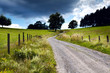 countryside road with fence