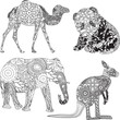 animals in the ornamentation