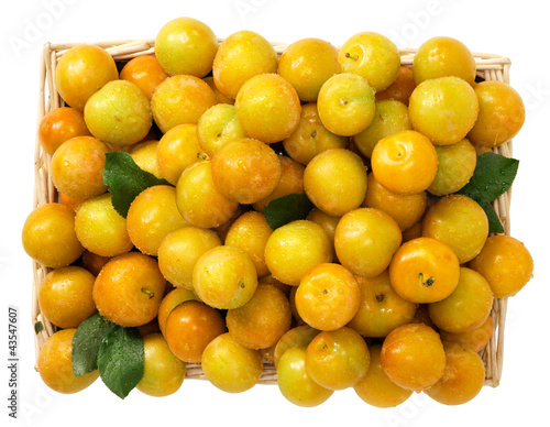 Photo: Susine gialle Susine gialle