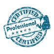Vektor: Certified professional rubber stamp Certified professional rubber stamp