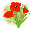 a red poppy flower illustration