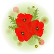 a red poppy flower bouquet
