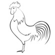 rooster outlines