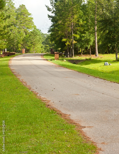 Photo: Street in Residential Neighborhood Street in Residential Neighborhood