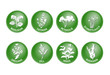 Kräuter Vektor Buttons