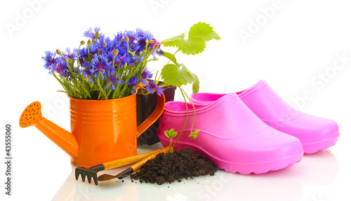 Foto: watering can, galoshes, tools and plants in flowerpot isolated watering can, galoshes, tools and plants in flowerpot isolated