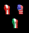 USA, Canada and Mexico flags