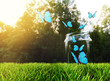 Butterflies