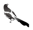 Vector: vector icon bird vector icon bird