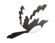 Vector: vector icon bird vector icon bird