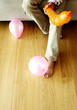 Photo: Waist down shot of a man holding a long orange balloon with two other pink balloons on the floor Waist down shot of a man holding a long orange balloon with two other pink balloons on the floor