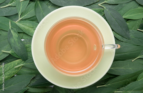 Photo: A cup of tea with fresh green tea leaves in the background A cup of tea with fresh green tea leaves in the background