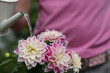 Unrecognizable person watering flowers