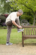 Senior man tying his shoelace
