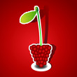 berries