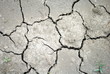 Foto: Dry soil as background, concept of drought and aridity Dry soil as background, concept of drought and aridity