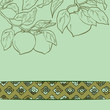 persimmon seamless pattern vector