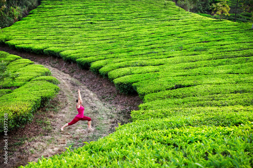 Photo: Yoga warrior pose in tea plantations Yoga warrior pose in tea plantations