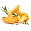 Drei Pilze