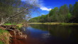 Video: Calm Forest River, HD. Calm Forest River, HD.