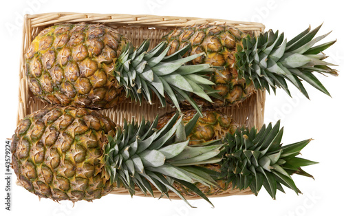 Photo: Ananas Ananas