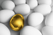 Illustration: golden egg golden egg