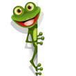 Vector: jolly green frog jolly green frog