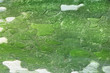 Photo: Tree bark texture background Tree bark texture background