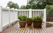 Watering Garden Plants on Patio