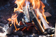 Bonfire close-up view