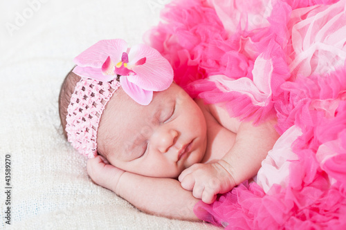 Foto: sleeping small princess in pink laces (the newborn girl) sleeping small princess in pink laces (the newborn girl)