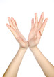 Photo: open hand open hand