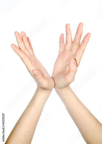 Photo: open hand open hand