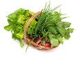 basket with herbs and vegetables