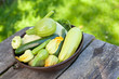 Photo: collection of zucchini and and marrow vegetables collection of zucchini and and marrow vegetables